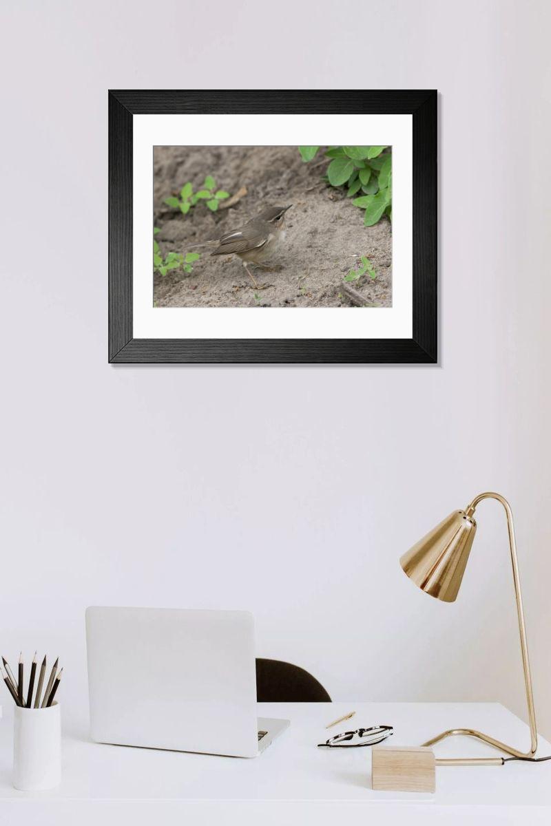 product preview 0