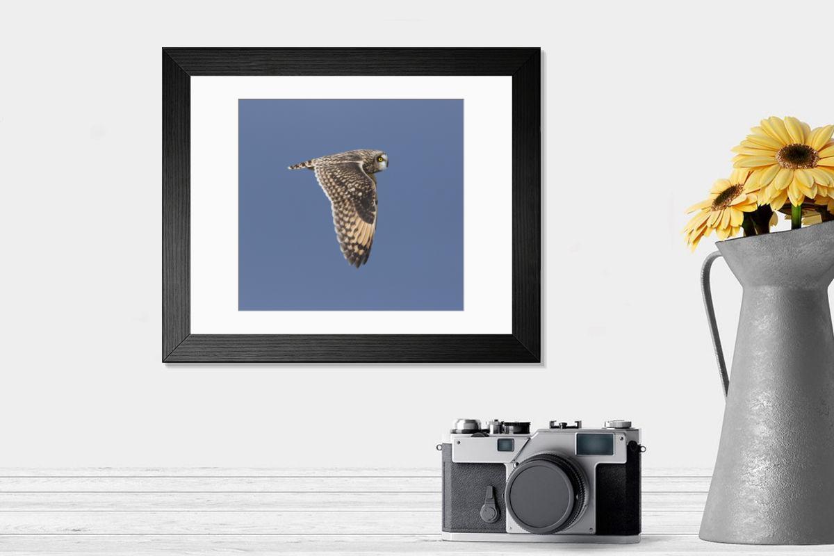 Shown hanging in a room: Modern 14"x12" (36x31cm)
