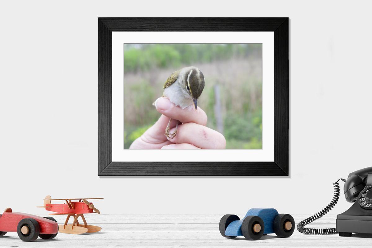 product preview 0
