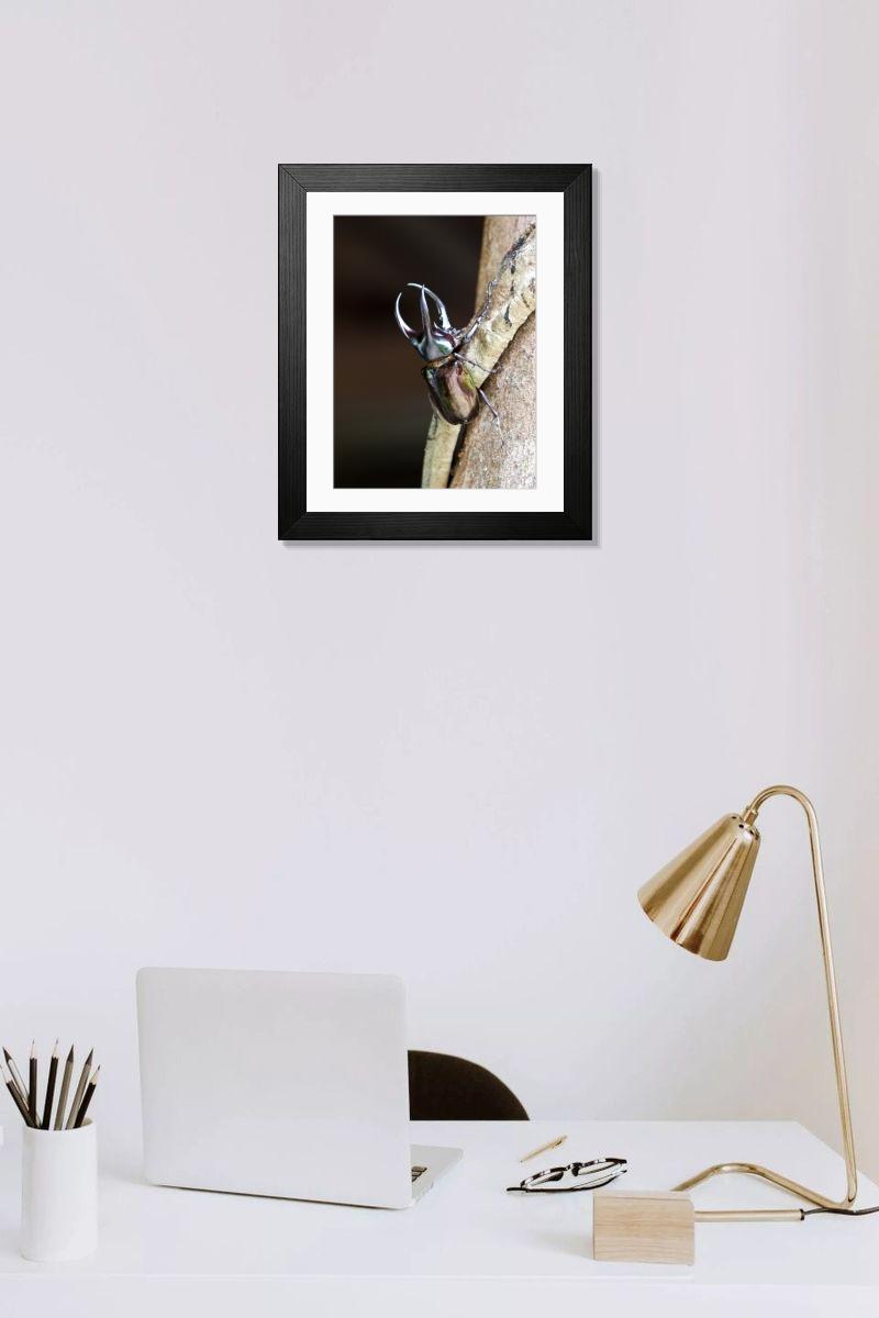 Shown hanging in a room: Modern 14"x12" (36x31cm)