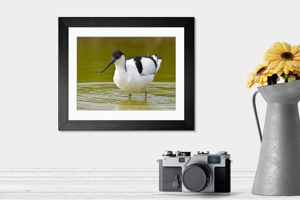 product preview 0