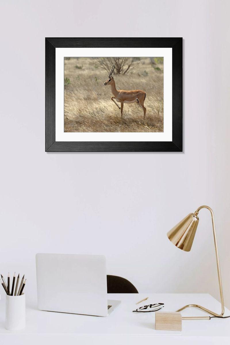 Shown hanging in a room: Modern 14"x12" (36x31cm)
