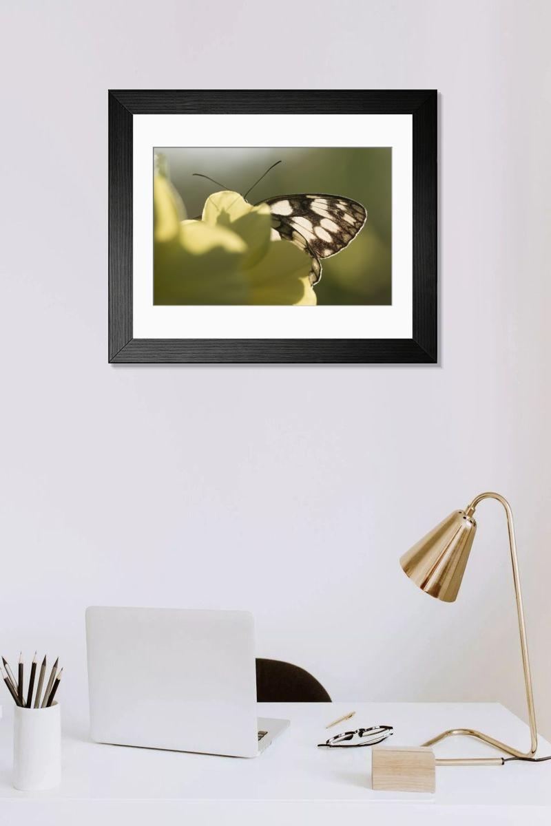Shown hanging in a room: Modern 14"x12" (36x31cm)
