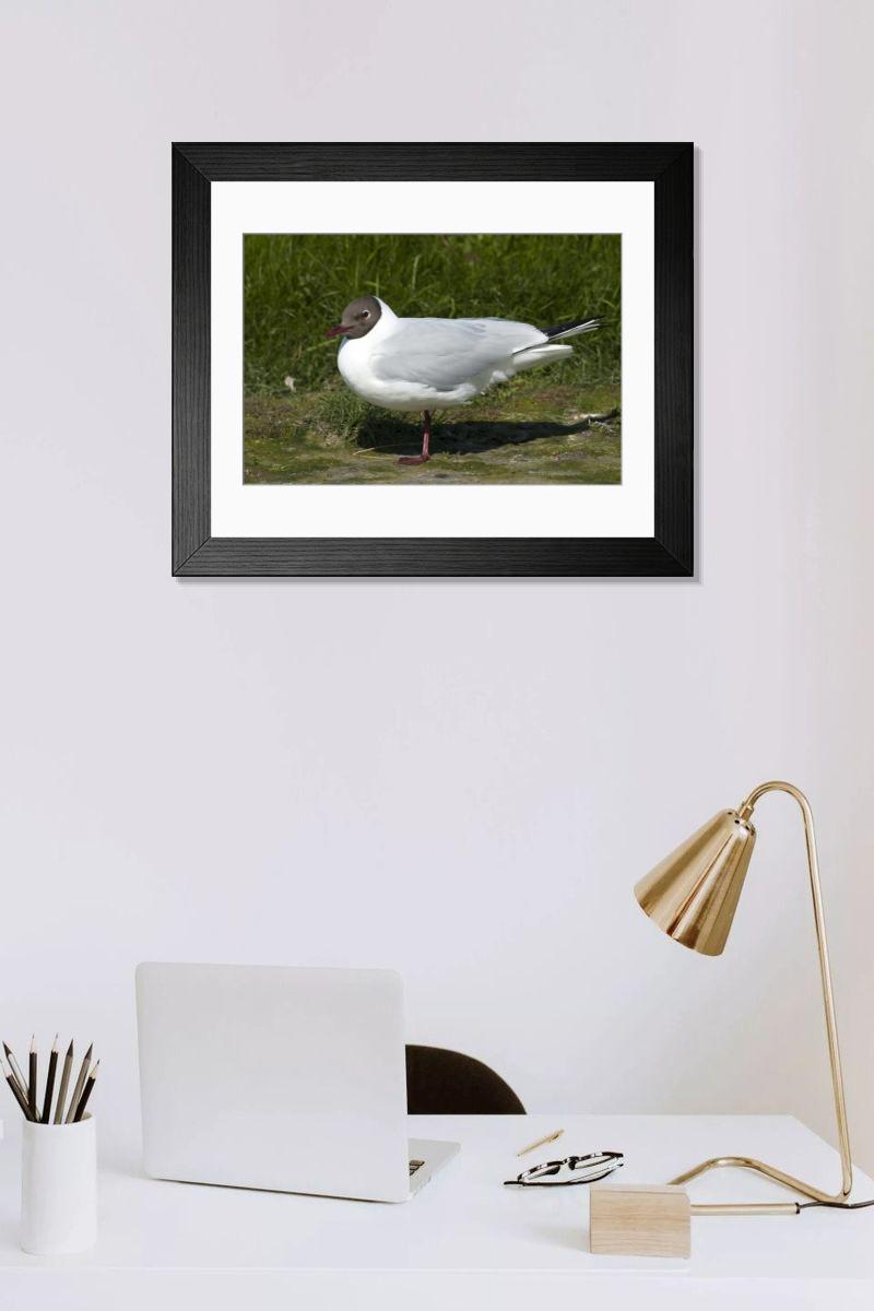 Shown hanging in a room: Modern 14"x12" (36x31cm)