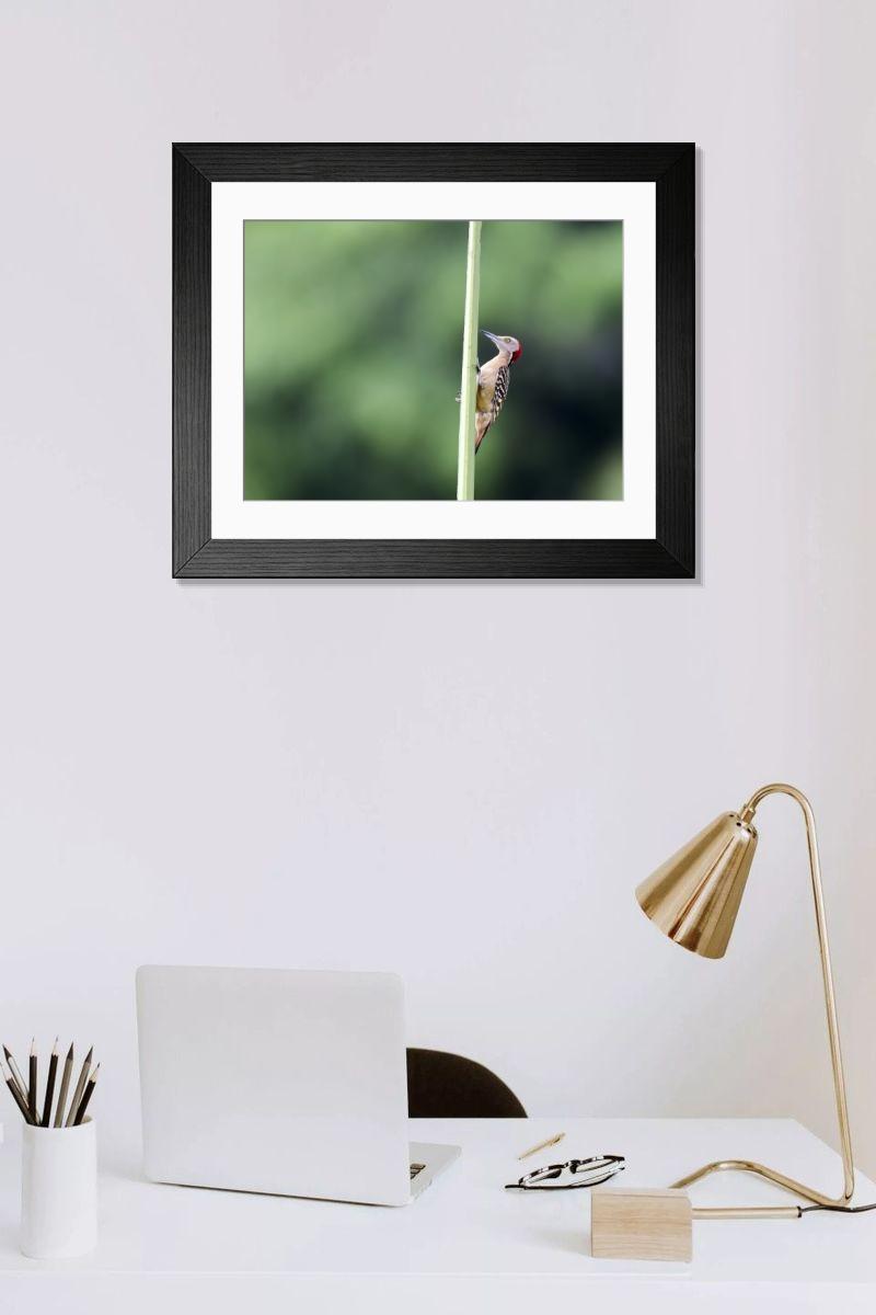 product preview 0