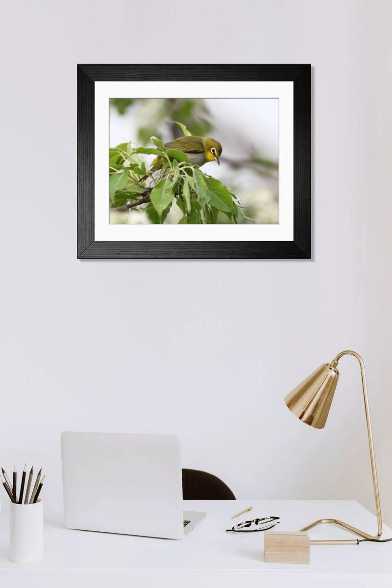 product preview 0