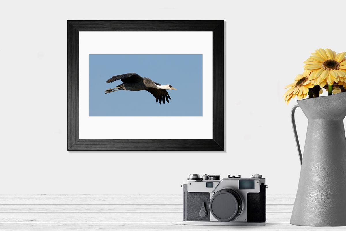 Shown hanging in a room: Modern 14"x12" (36x31cm)