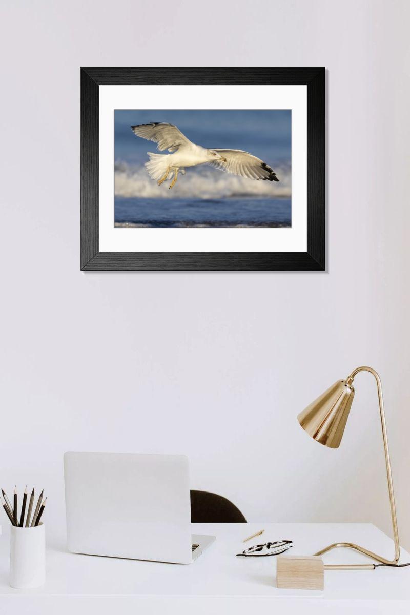 Shown hanging in a room: Modern 14"x12" (36x31cm)