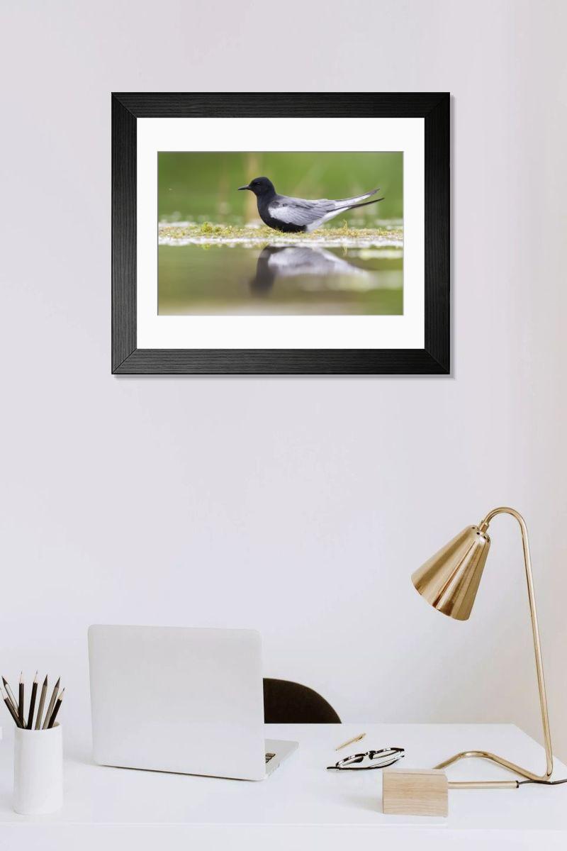 product preview 0