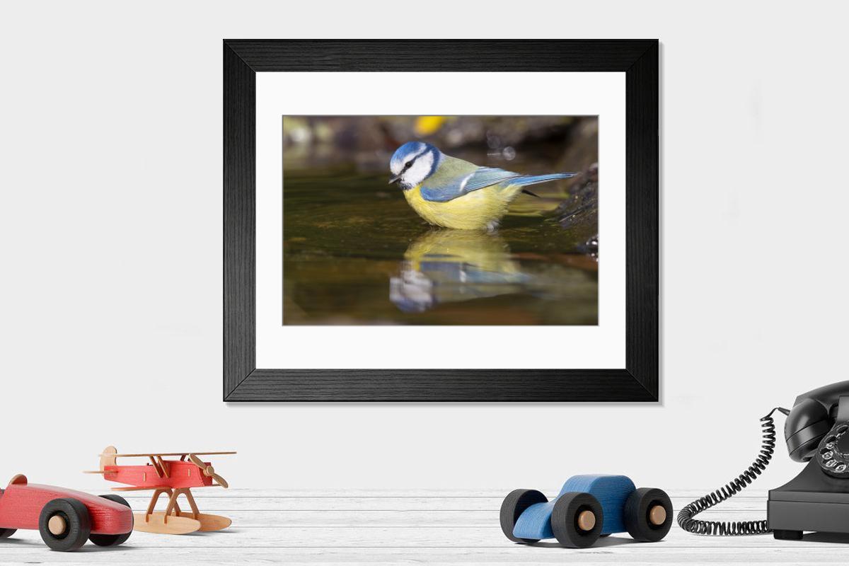 product preview 0