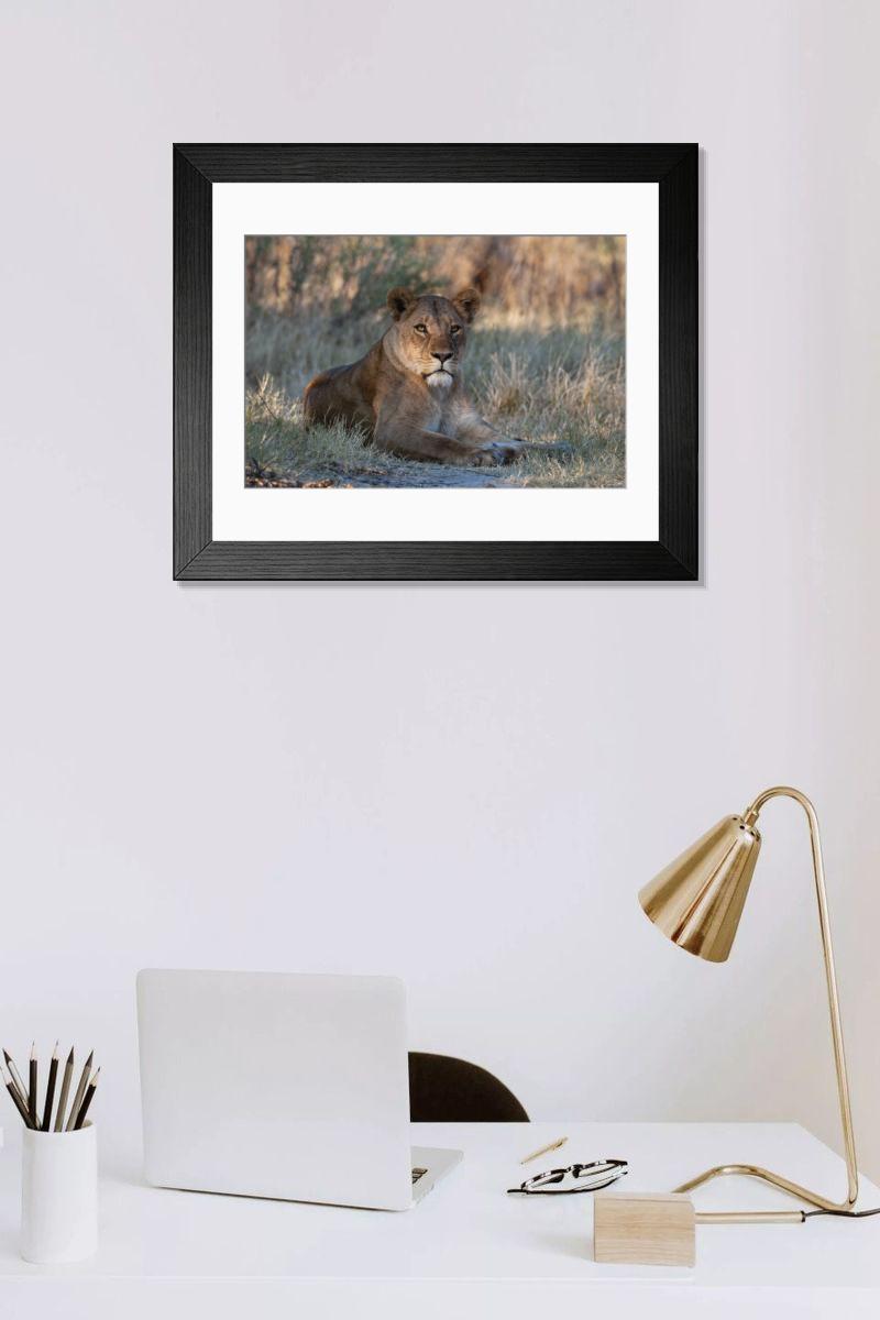 product preview 0