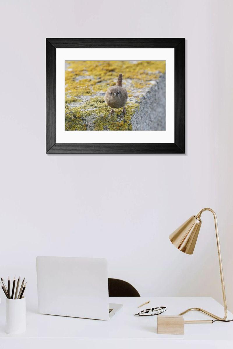 Shown hanging in a room: Modern 14"x12" (36x31cm)