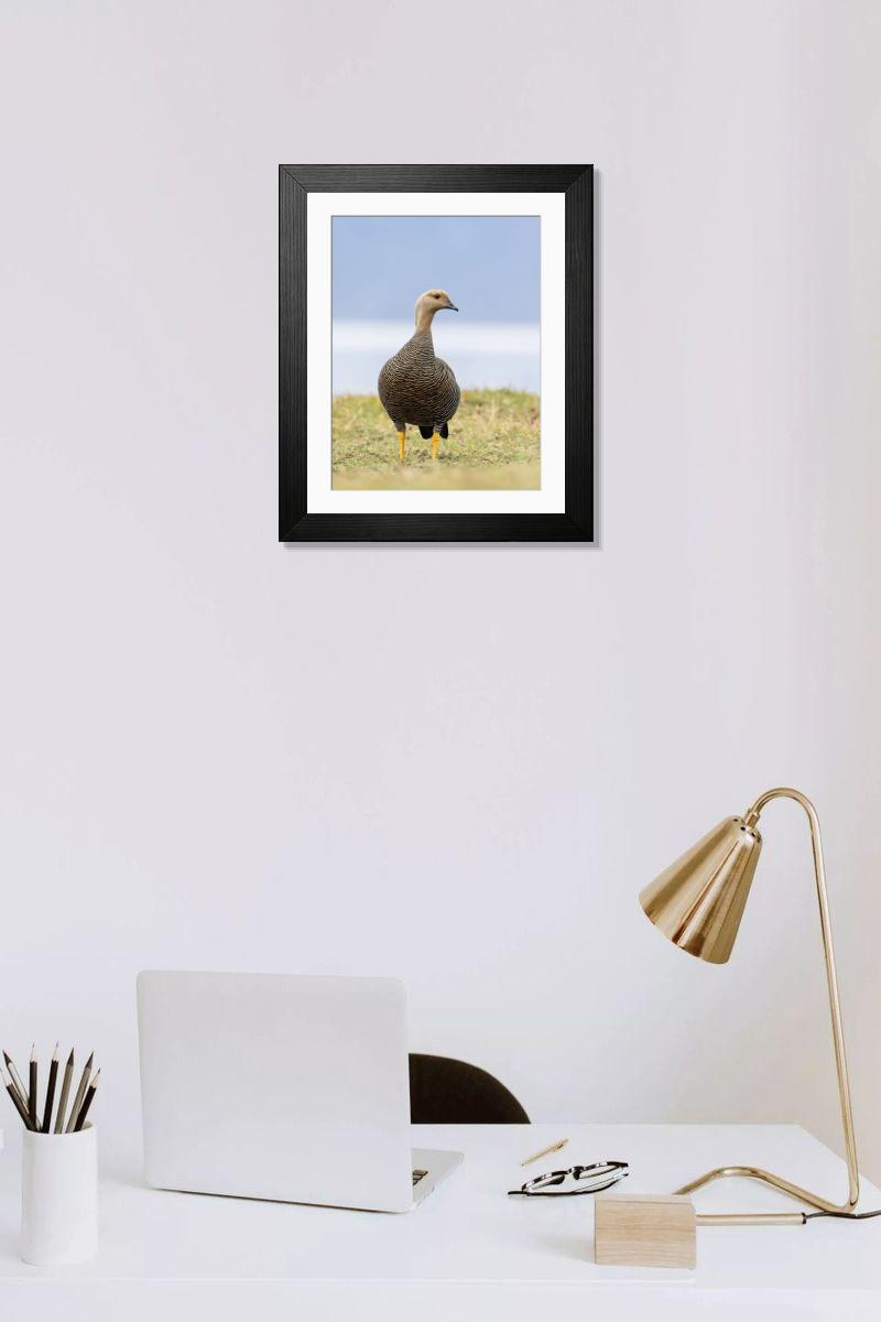 Shown hanging in a room: Modern 14"x12" (36x31cm)