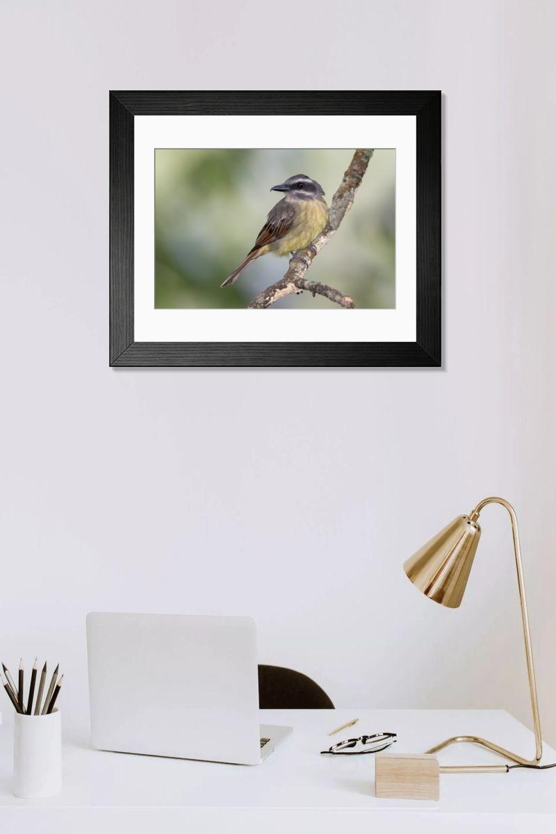 Shown hanging in a room: Modern 14"x12" (36x31cm)