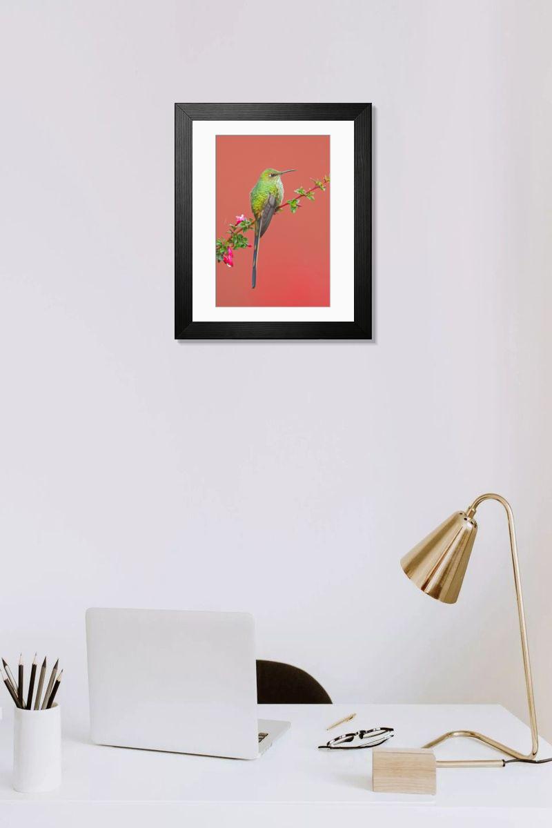 Shown hanging in a room: Modern 14"x12" (36x31cm)