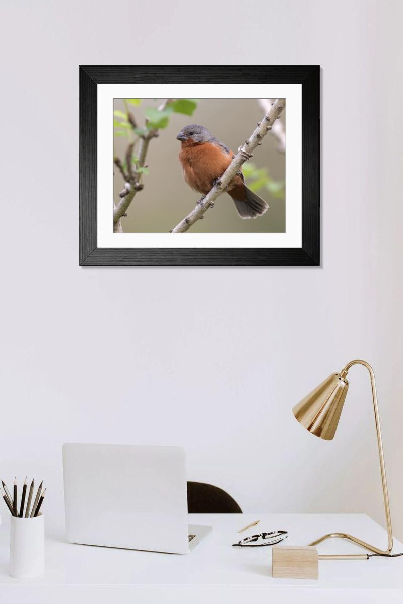 Shown hanging in a room: Modern 14"x12" (36x31cm)