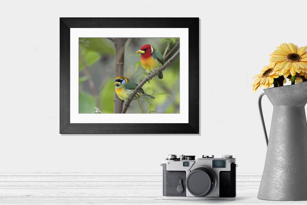 product preview 0