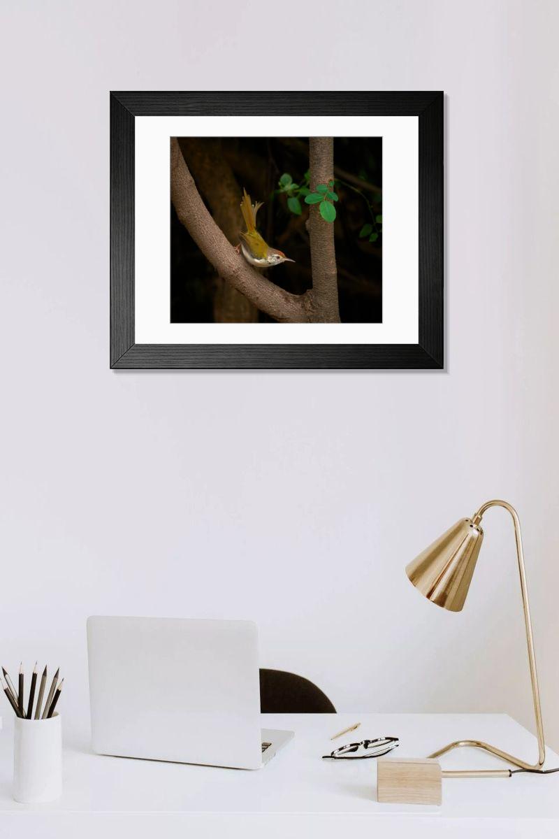 product preview 0