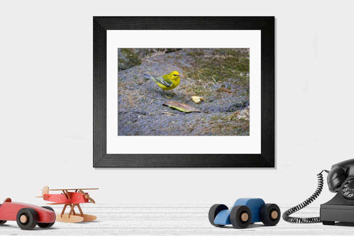 product preview 0