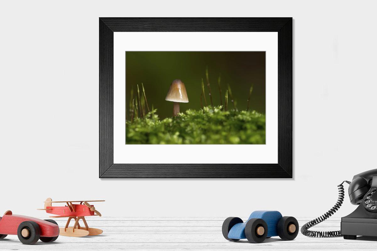 Shown hanging in a room: Modern 14"x12" (36x31cm)