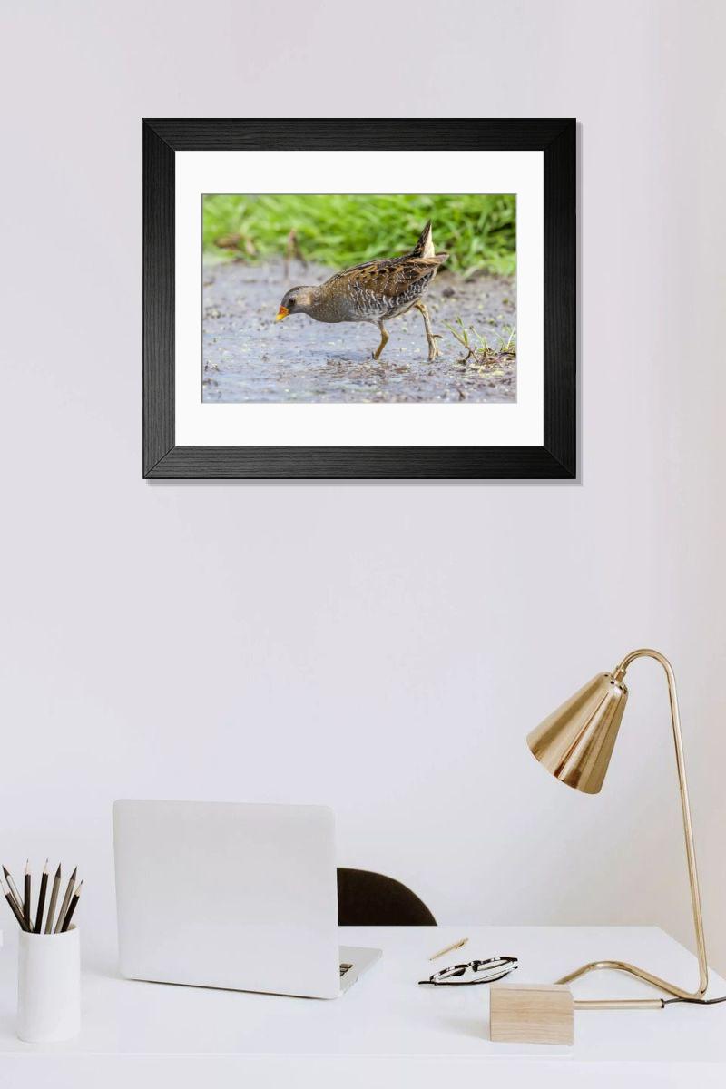 Shown hanging in a room: Modern 14"x12" (36x31cm)