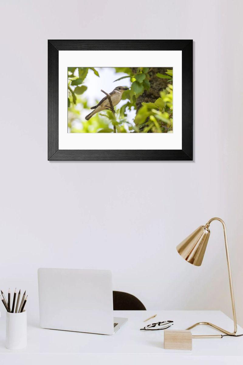product preview 0