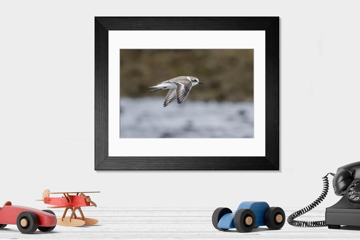 Shown hanging in a room: Modern 14"x12" (36x31cm)