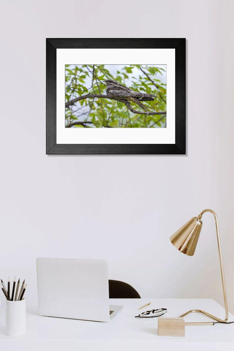 Shown hanging in a room: Modern 14"x12" (36x31cm)