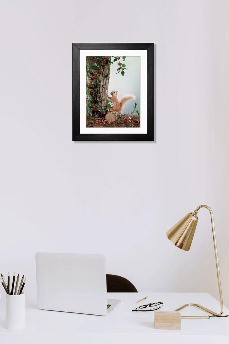 product preview 0