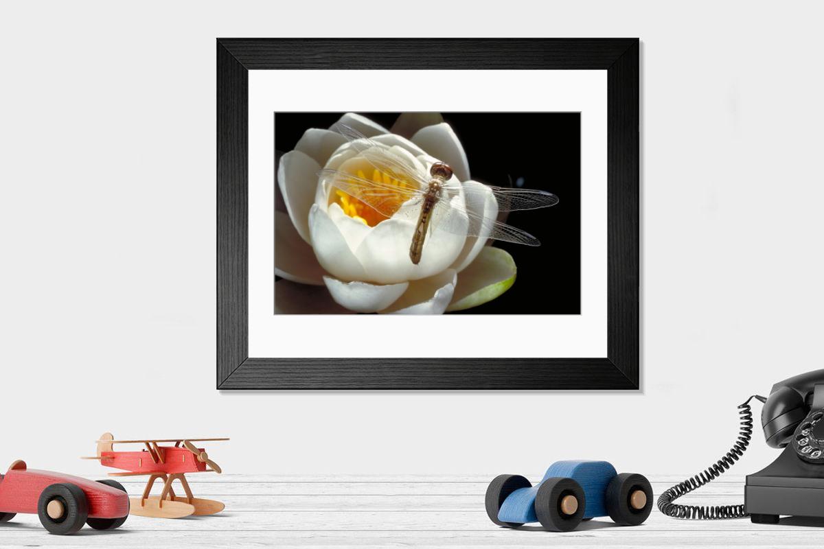 product preview 0