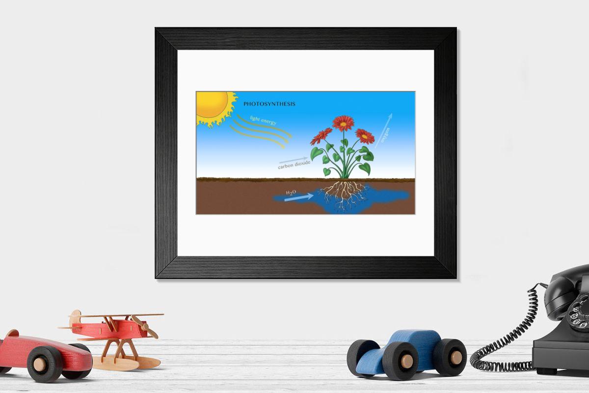 product preview 0