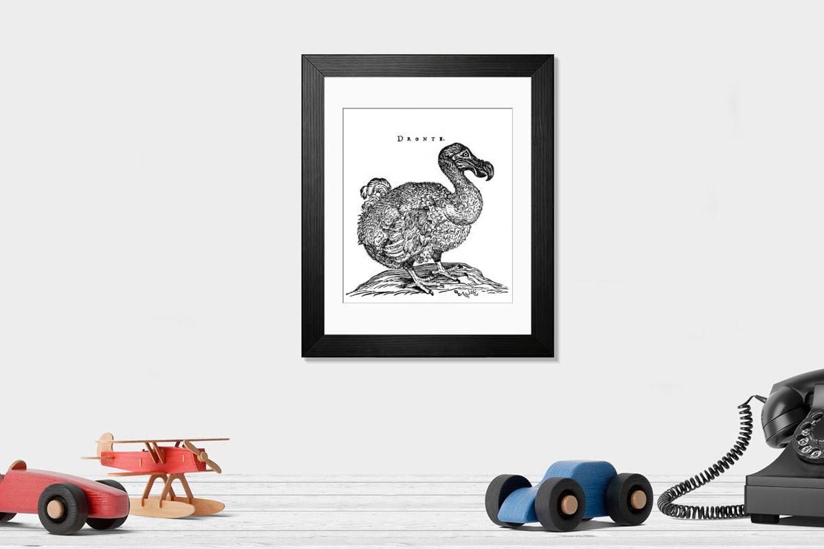 product preview 0