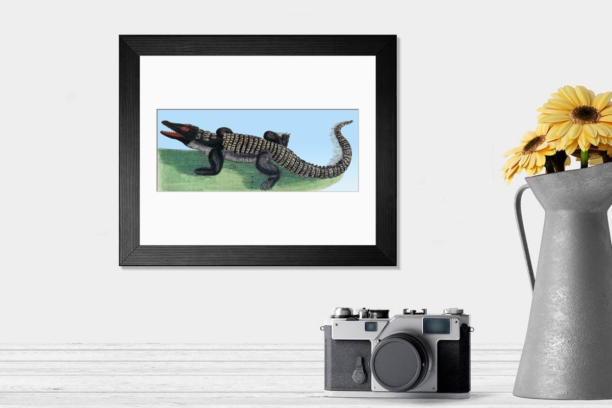 product preview 0