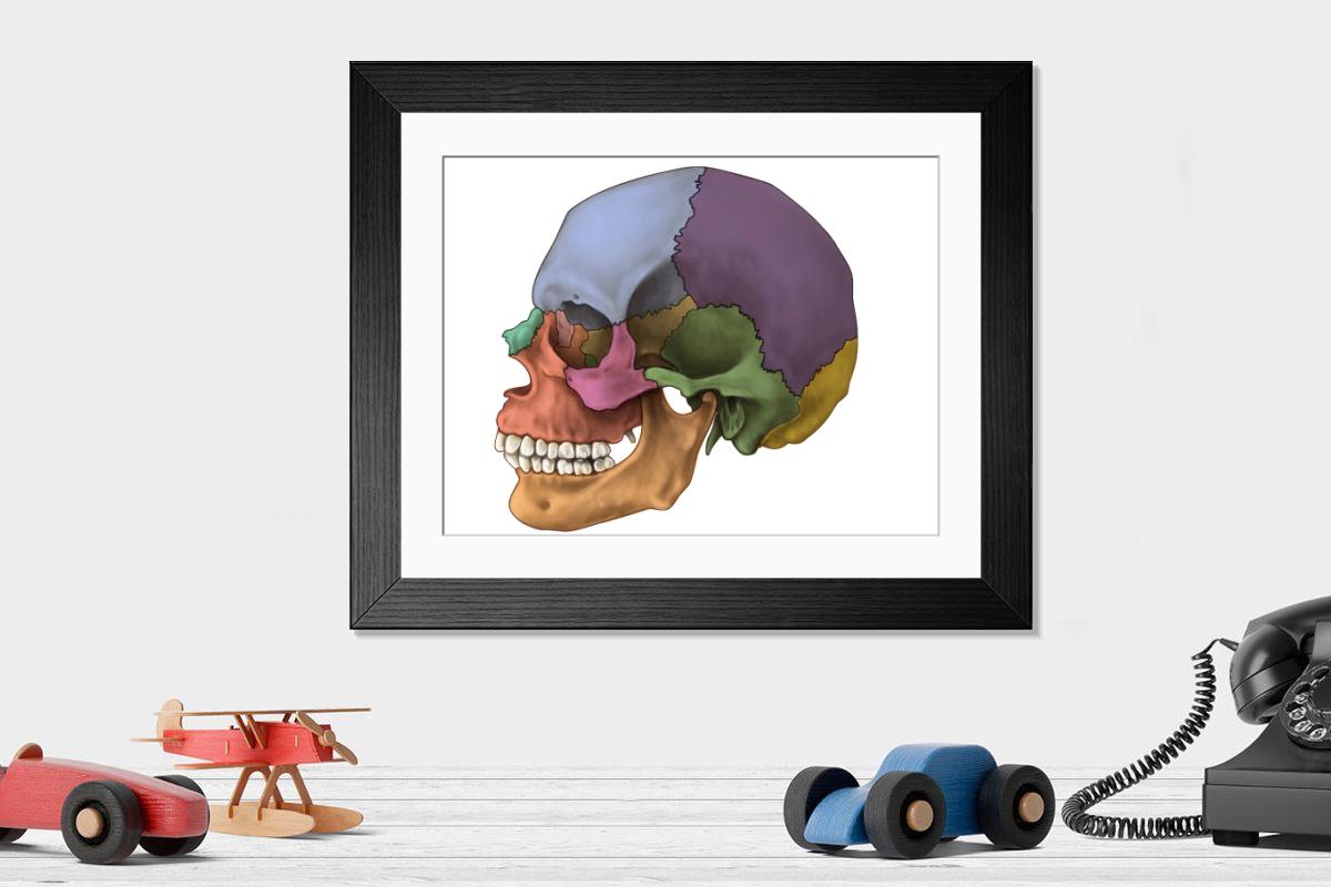product preview 0