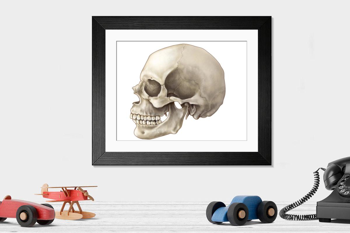 product preview 0