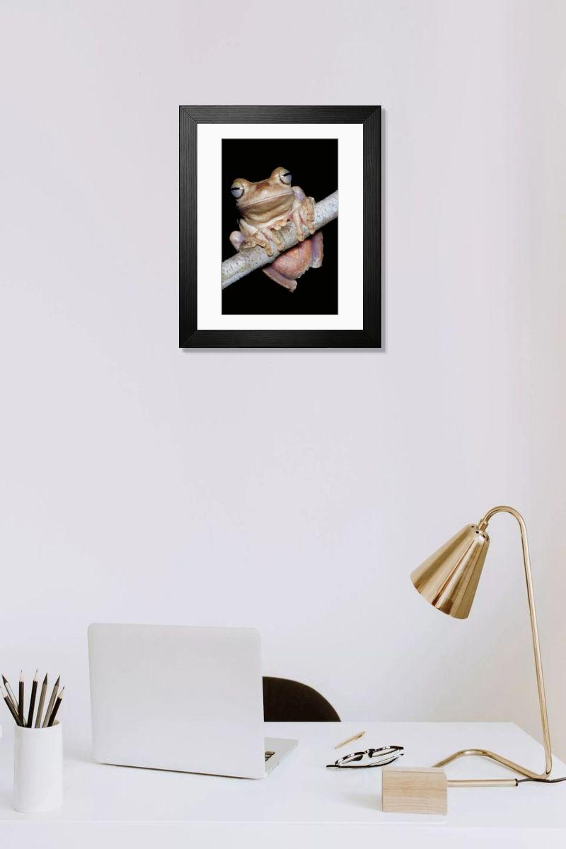 product preview 0