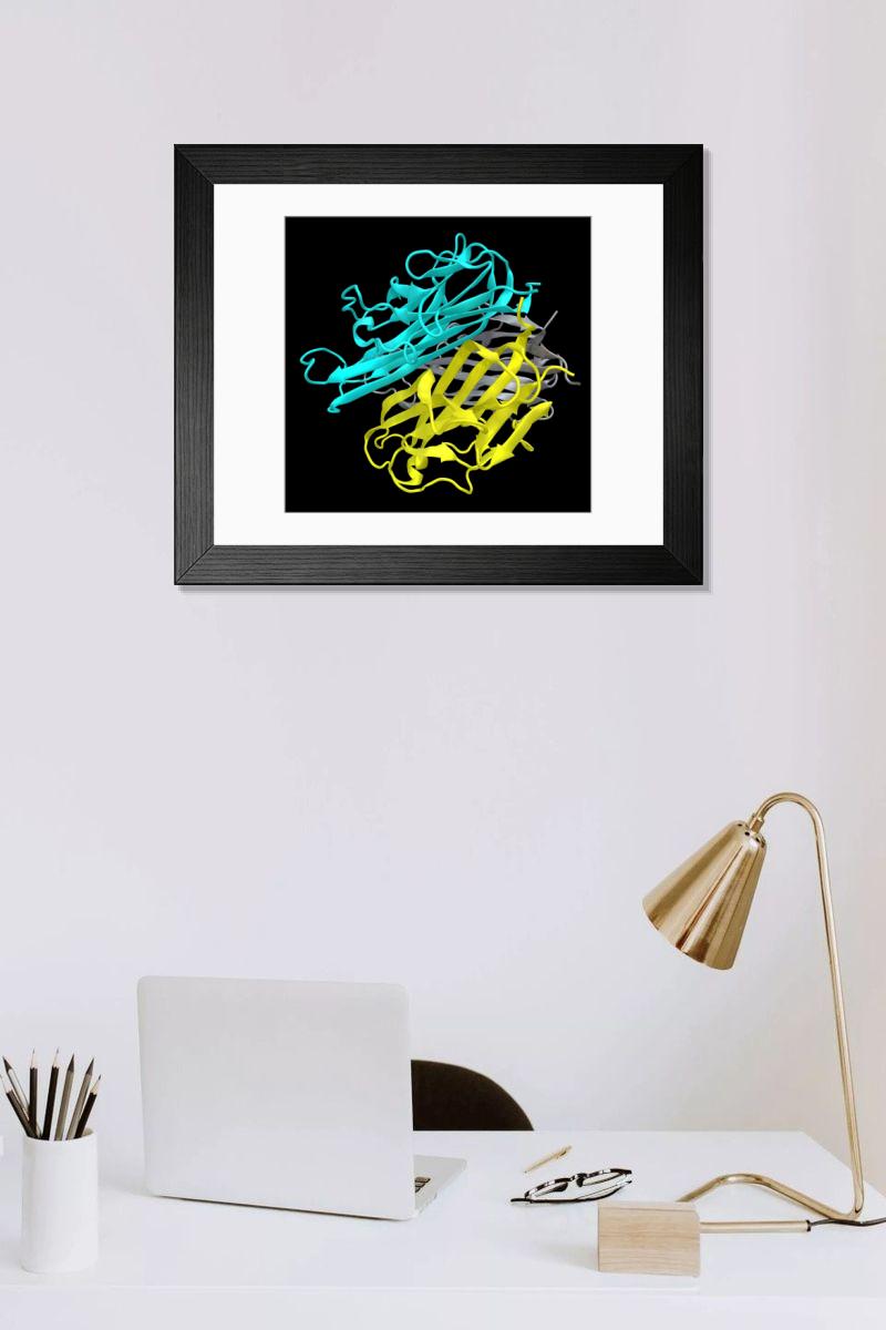 product preview 0