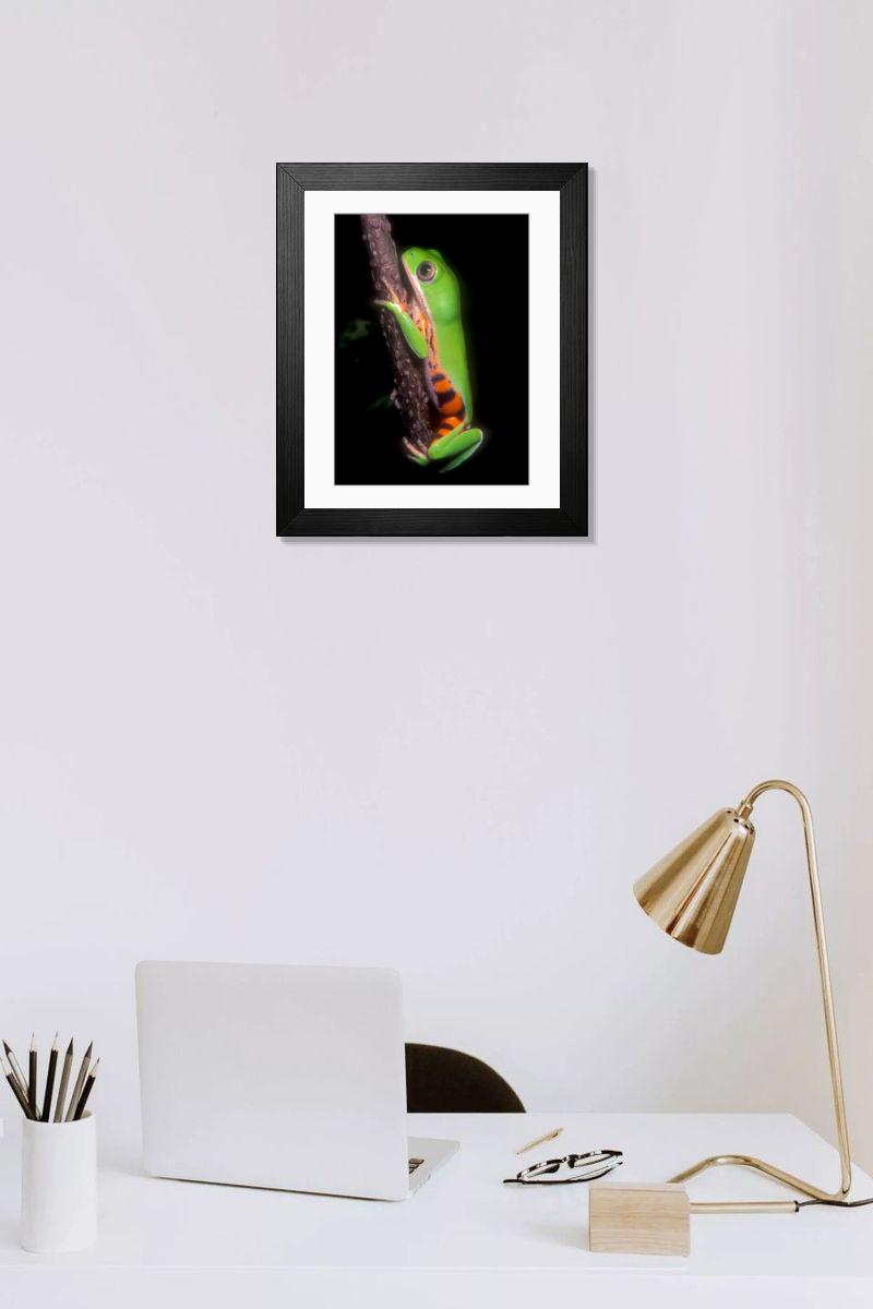 product preview 0