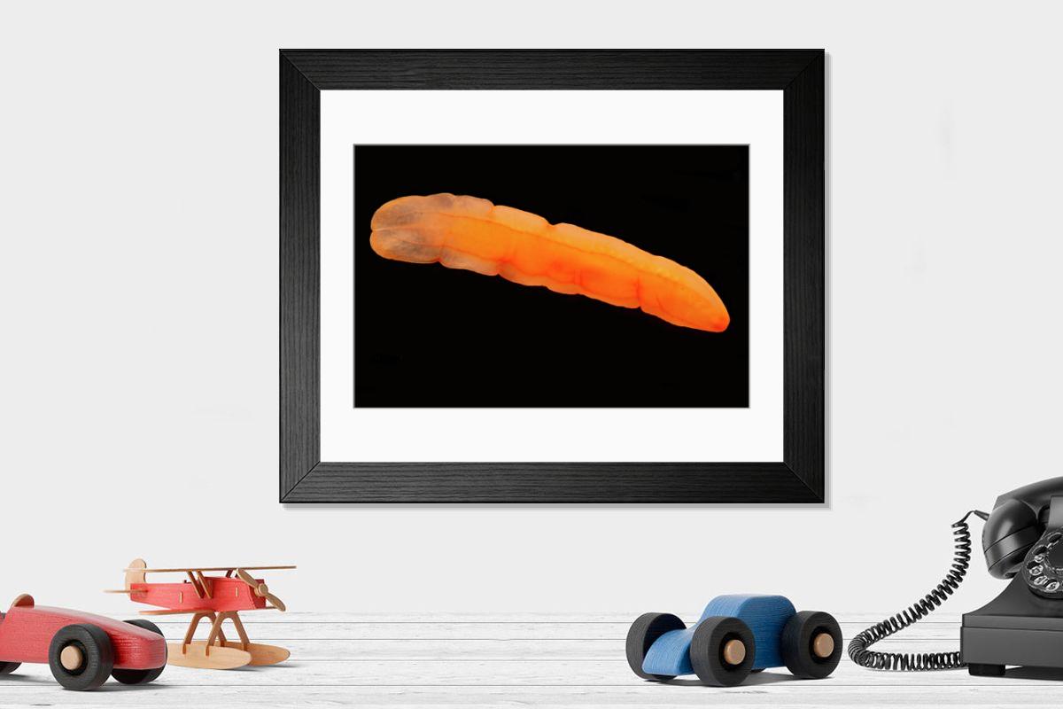 product preview 0
