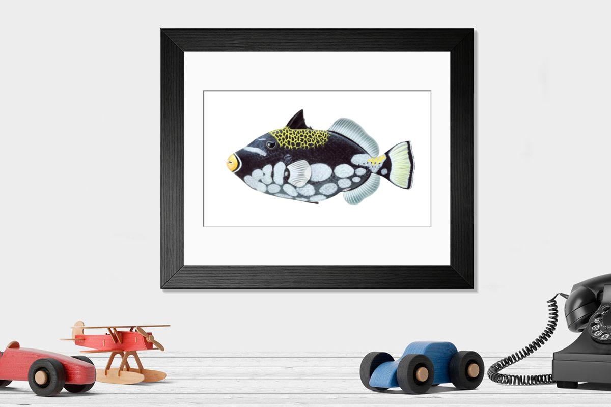 product preview 0