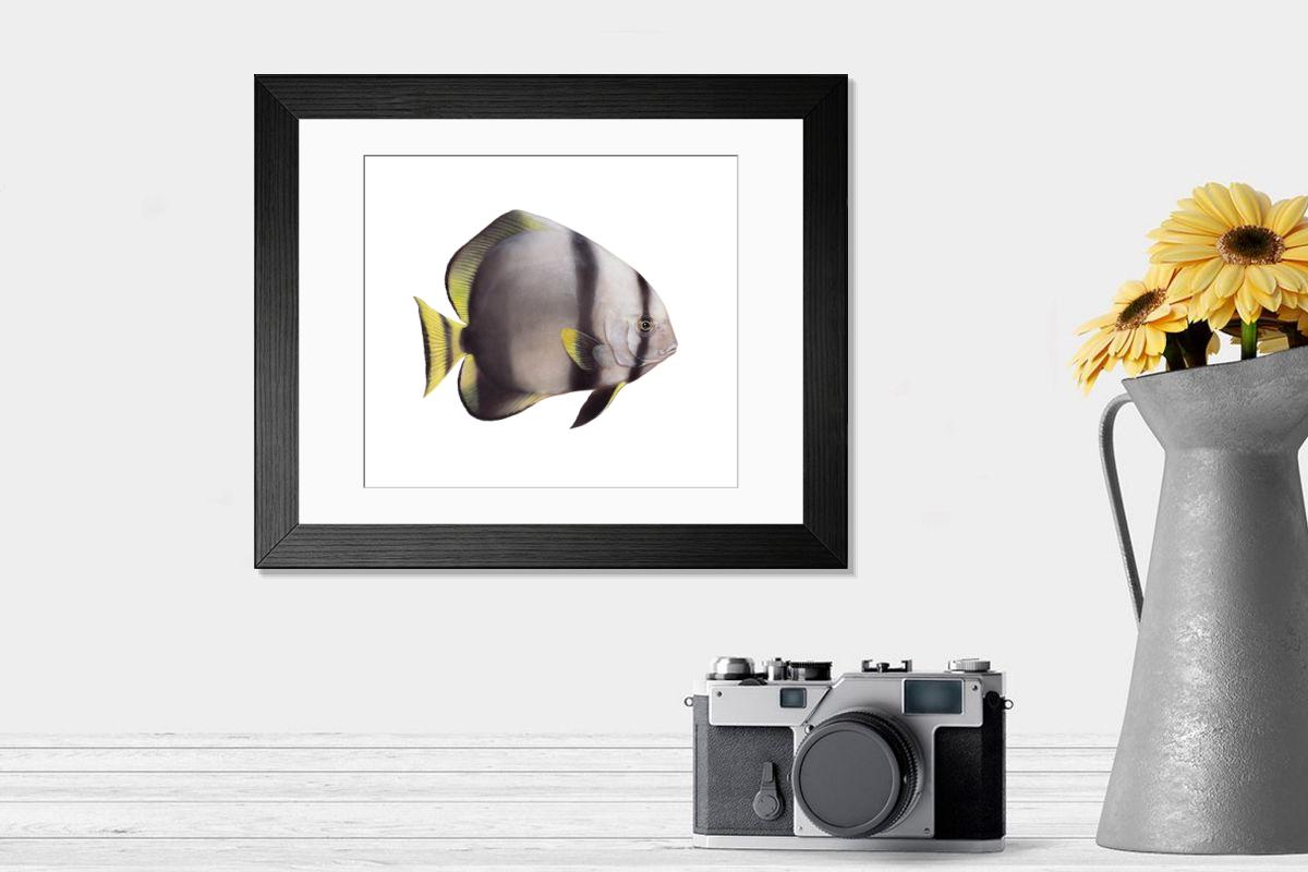 Shown hanging in a room: Modern 14"x12" (36x31cm)