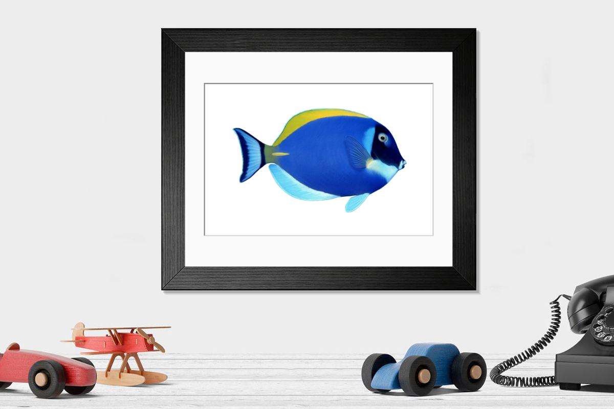 product preview 0