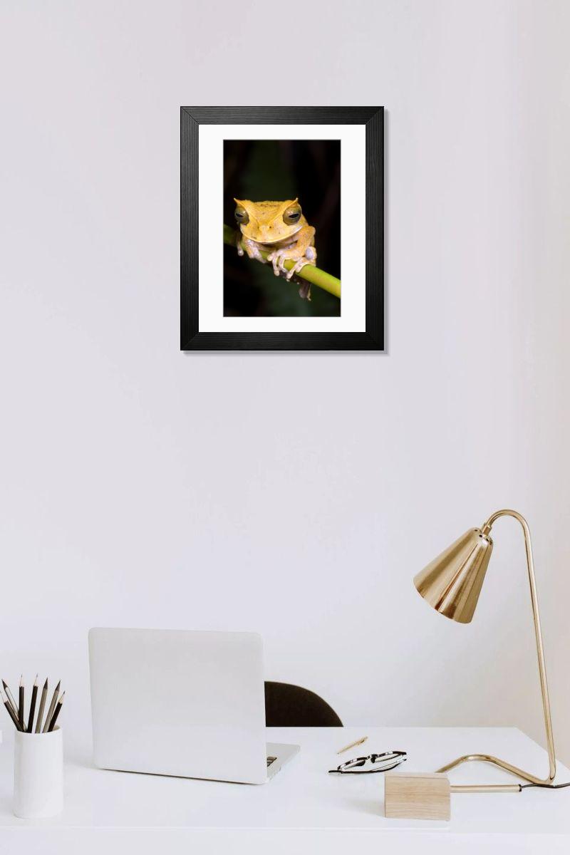 product preview 0