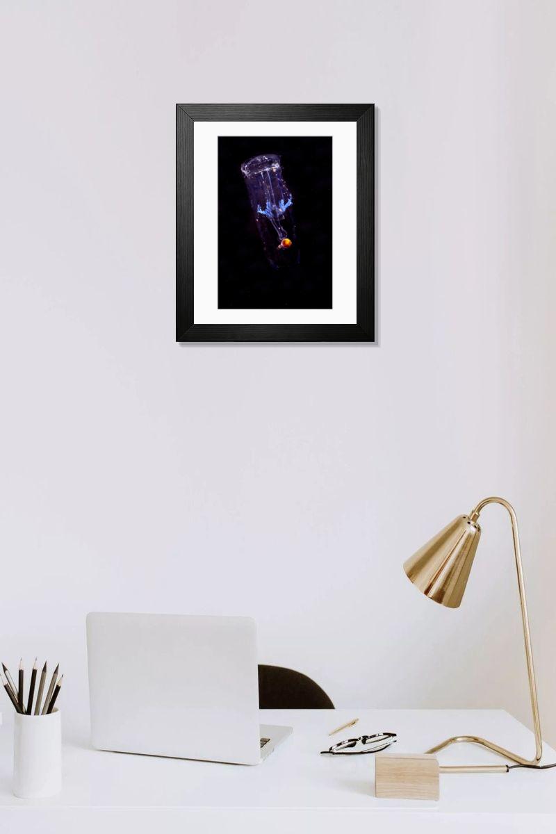 product preview 0