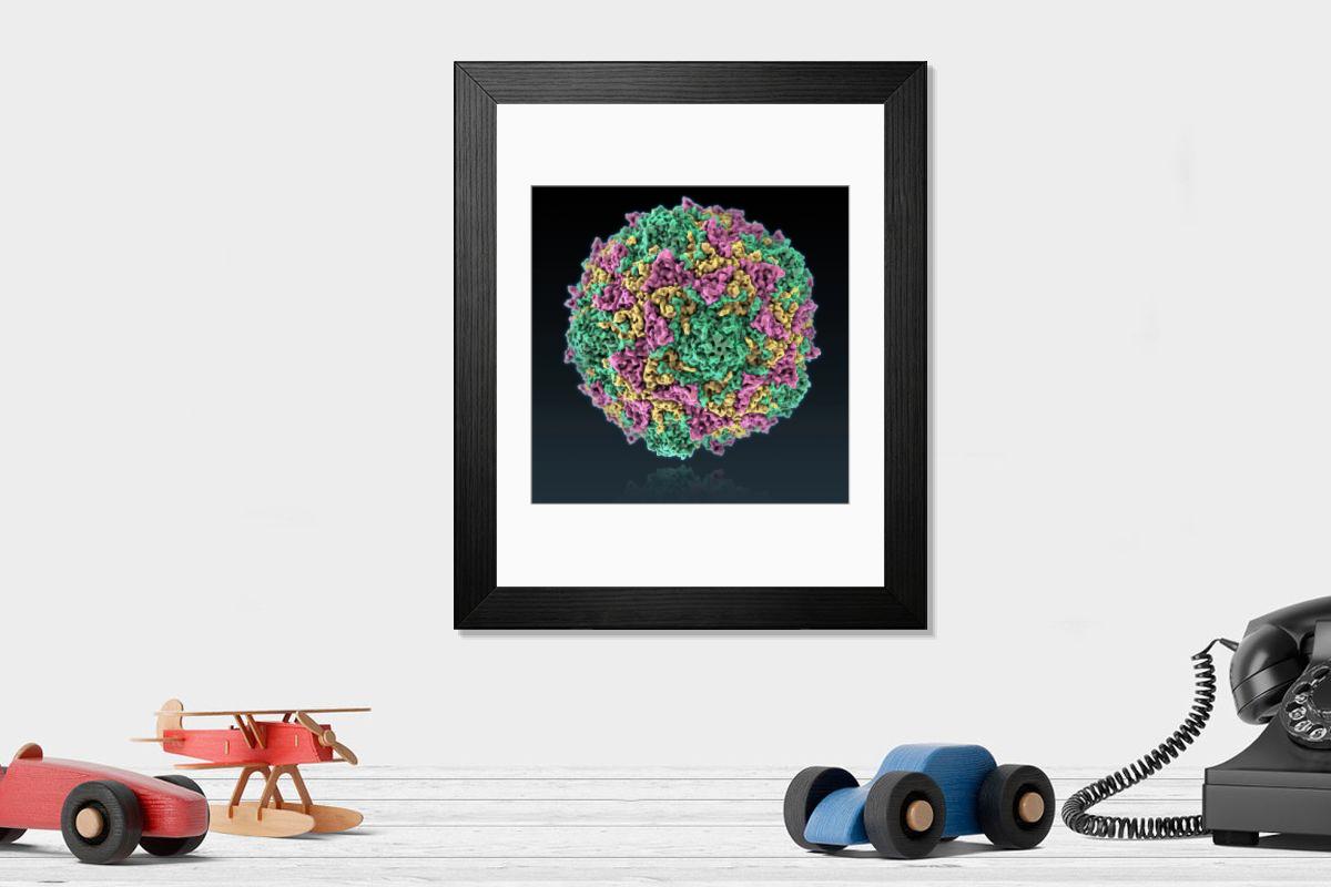 product preview 0