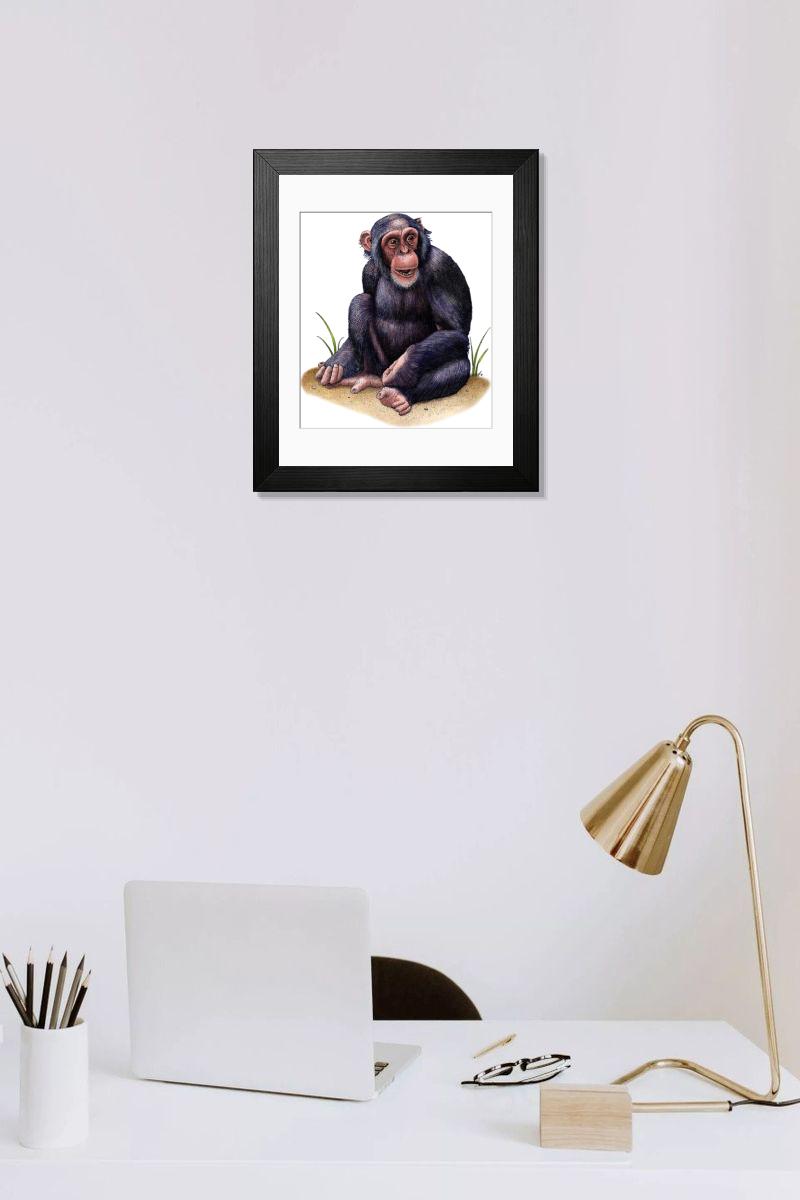 product preview 0