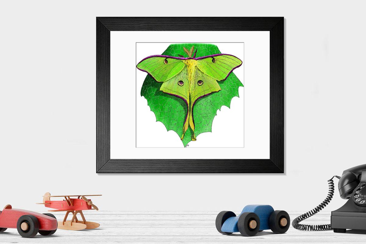 product preview 0