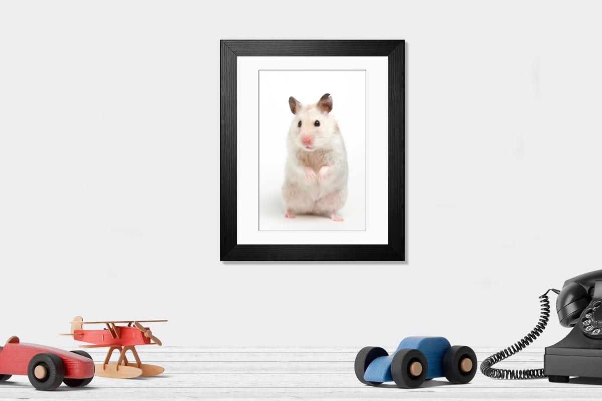 product preview 0