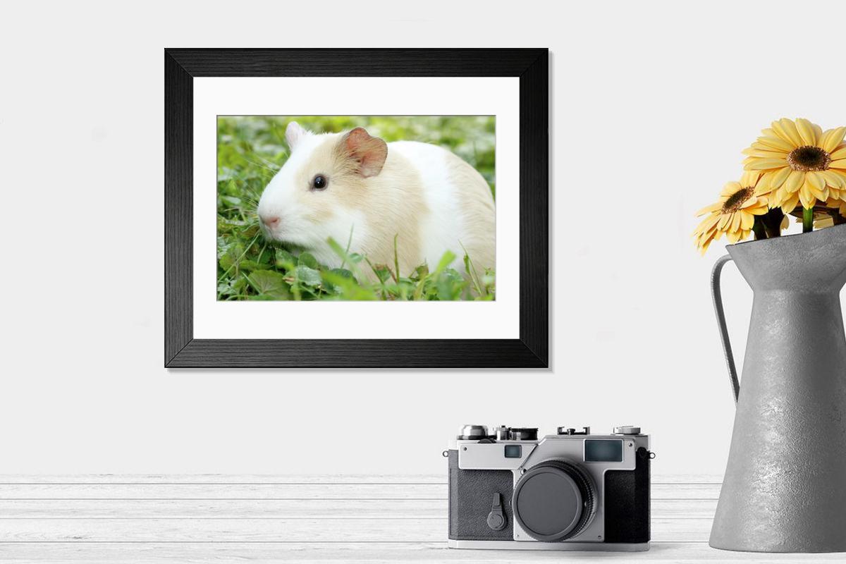 product preview 0