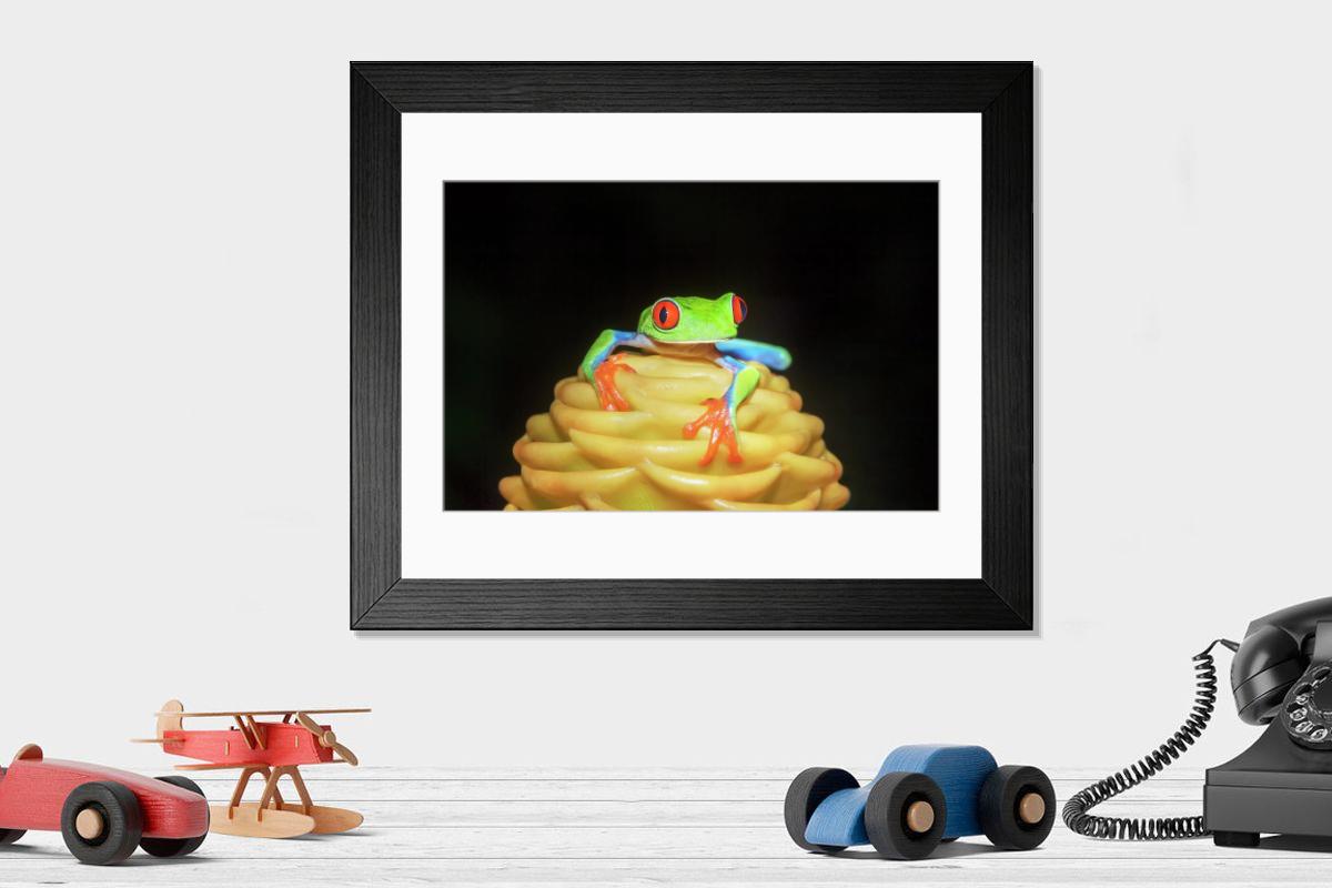 product preview 0